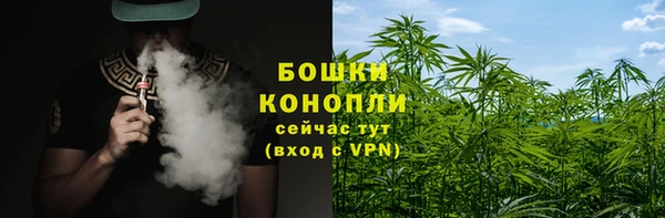 дурь Тайга