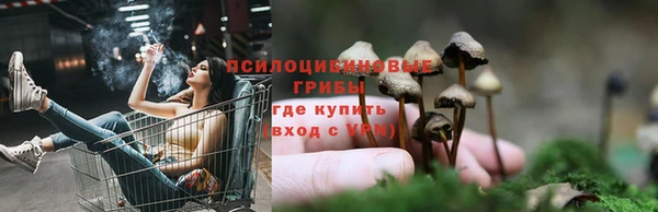 ECSTASY Заволжье
