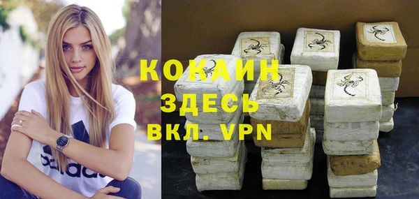 дурь Тайга