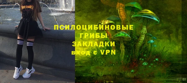 меф VHQ Дмитриев