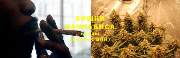 дурь Тайга